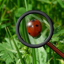 Welcome to our website